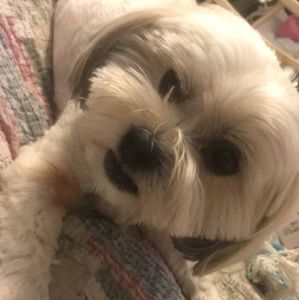 Meet your Posher, Zulma